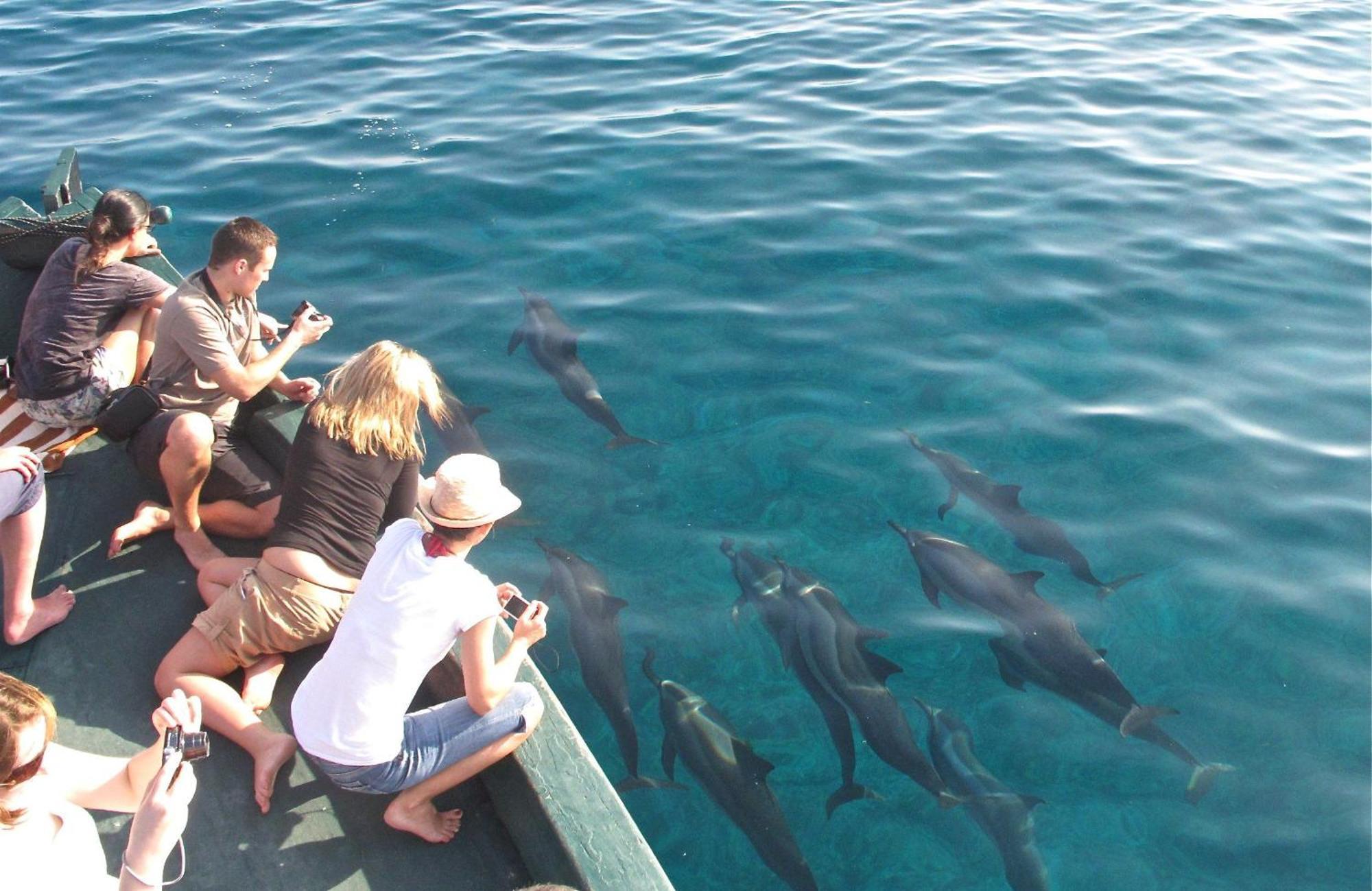 Blue Wave Hotel Maldives- Same Sea, Same Sand Same Sun Like Resorts Kudahuvadhoo Buitenkant foto